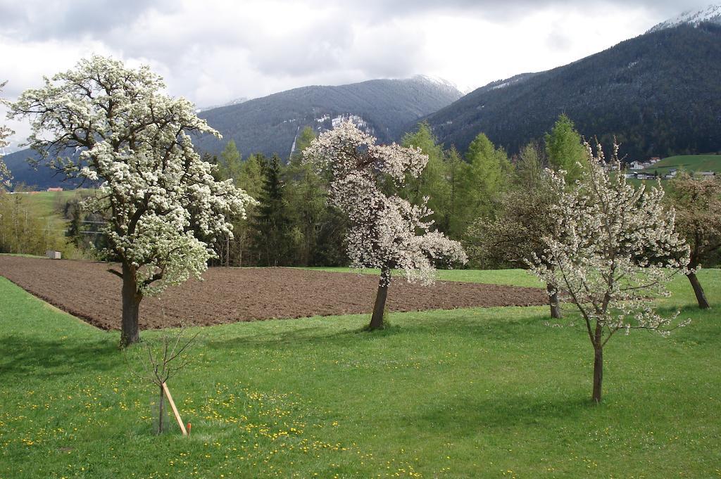 Simon - Hauserhof